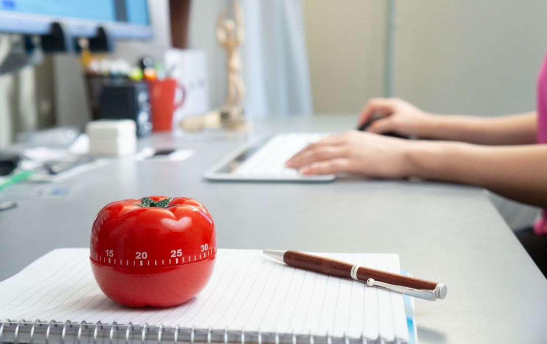 'Flying Turtle' Pomodoro