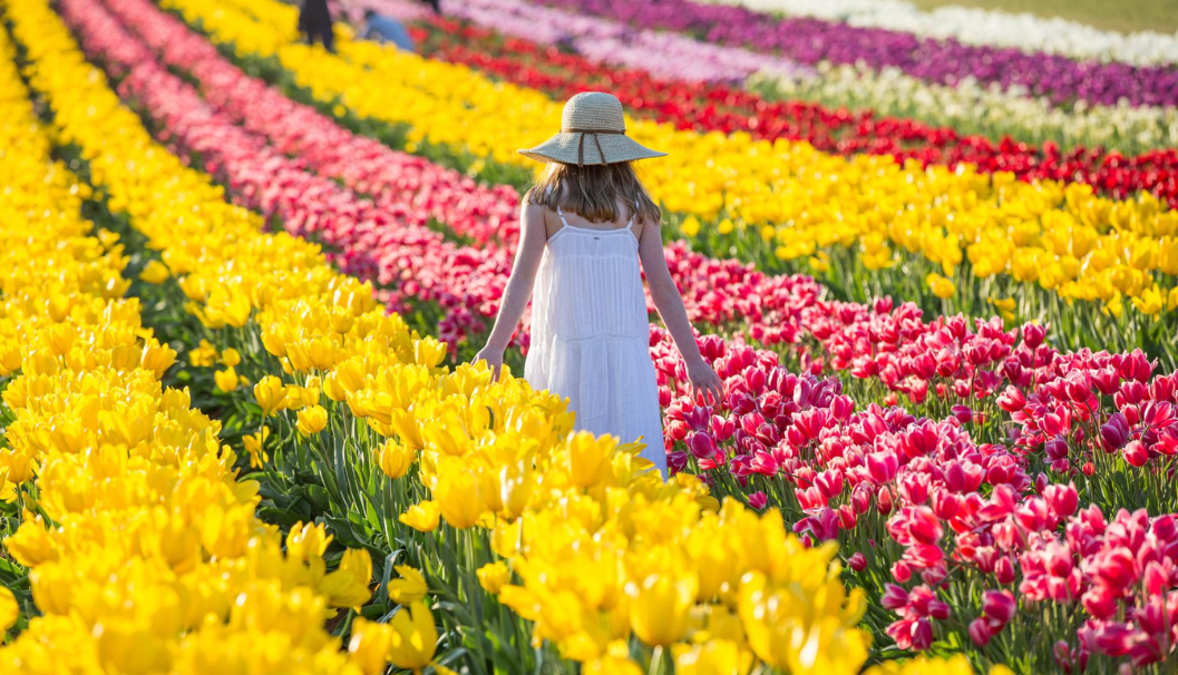 Kabloom Flowers Farm Tour